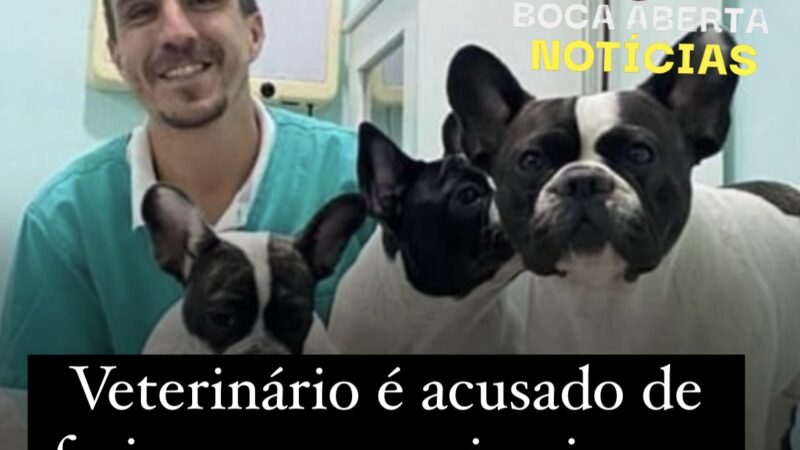 Veterinário acusado de cirurgias forjadas e fraudes em exames