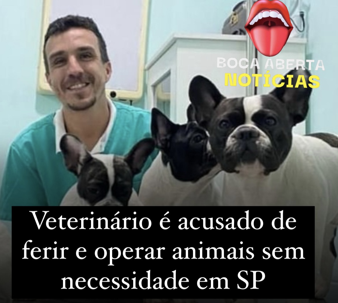 Veterinário acusado de cirurgias forjadas e fraudes em exames