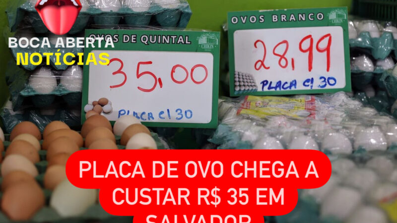 AUMENTO DO VALOR DA PLACA DE OVOS 🥚