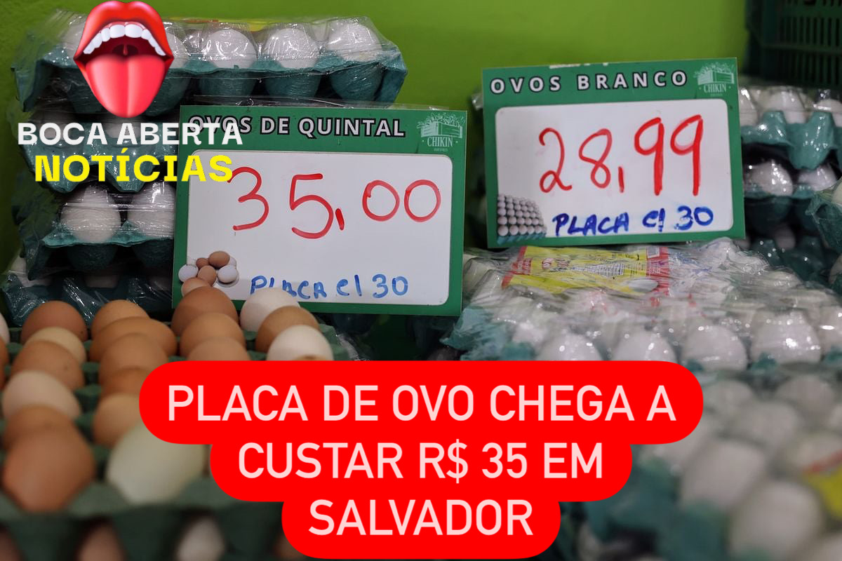 AUMENTO DO VALOR DA PLACA DE OVOS 🥚