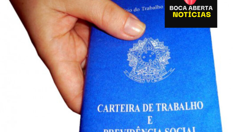 Vagas do Dia – SineBahia 03/02/2025